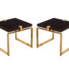 CE-3422-Pair-Modern-Macassar-Brass-End-Tables-001