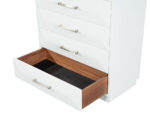 BF-8019-Modern-Chest-Drawers-White-Carrocel-007